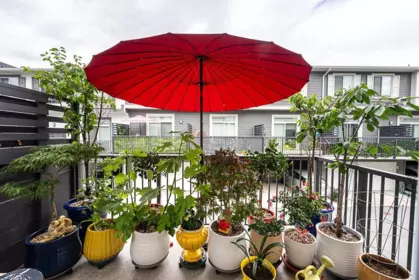 Backyard Photo of 26 15850 85 Avenue, Surrey, BC