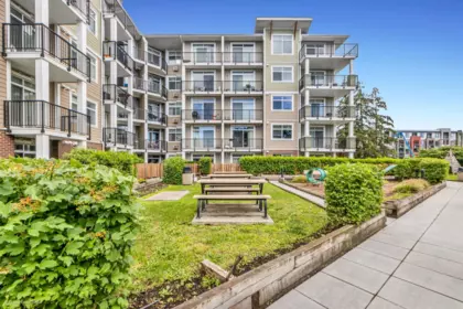 Backyard Photo of 317 20696 Eastleigh Crescent, Langley, BC