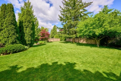 16367 S Glenwood Crescent, Surrey, BC, Surrey — Single Family Residence for sale
