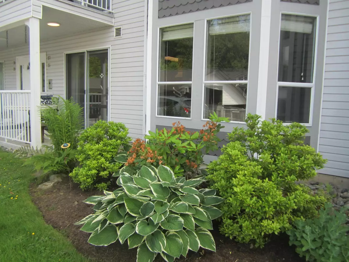 Kitchen Photo of 31 12296 224th Street, Maple Ridge, BC