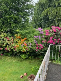 Outdoor Deck Photo of 3746 Edinburgh Street, Burnaby, BC