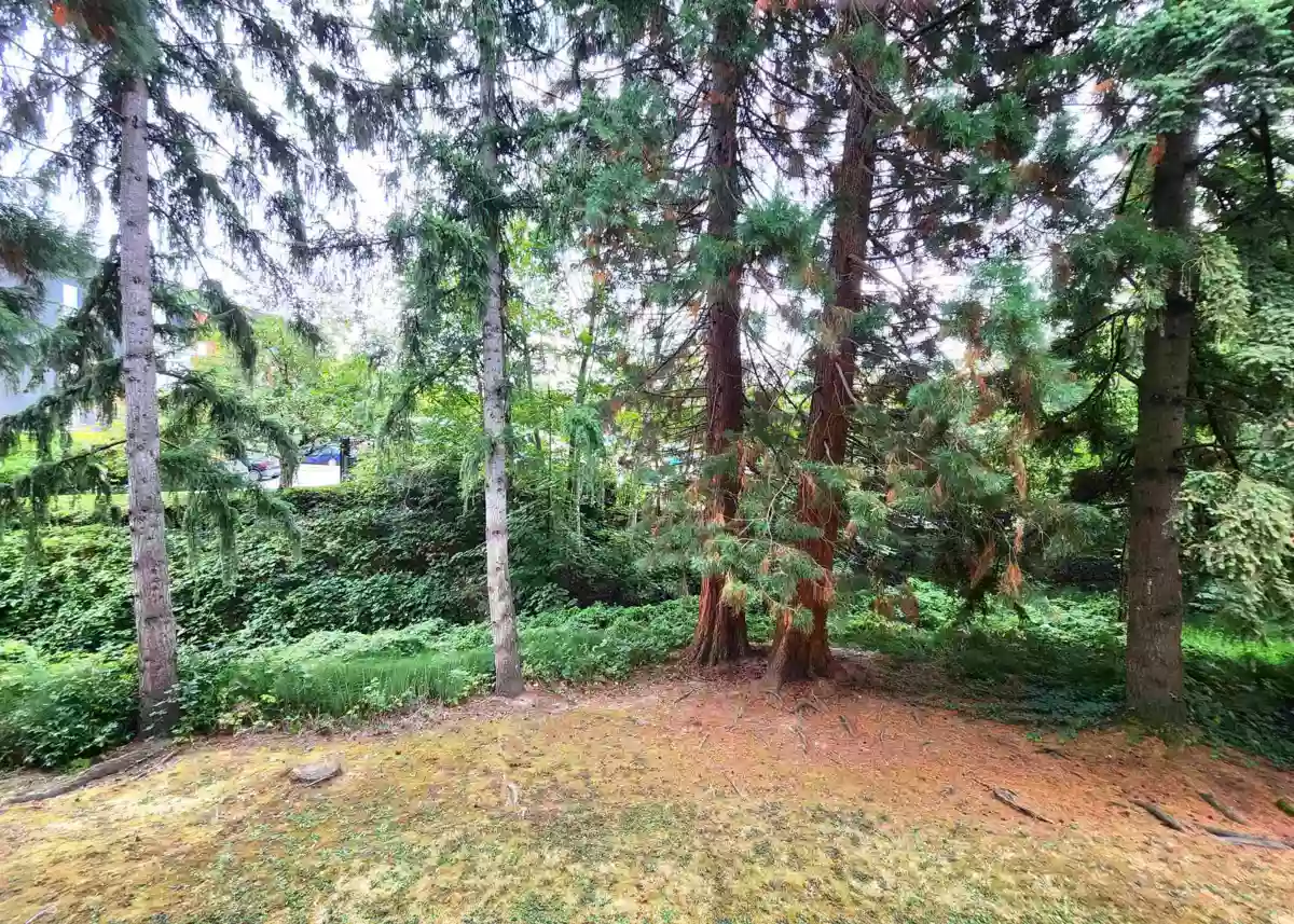 Breakfast Nook Photo of 102 5664 200 Street, Langley, BC