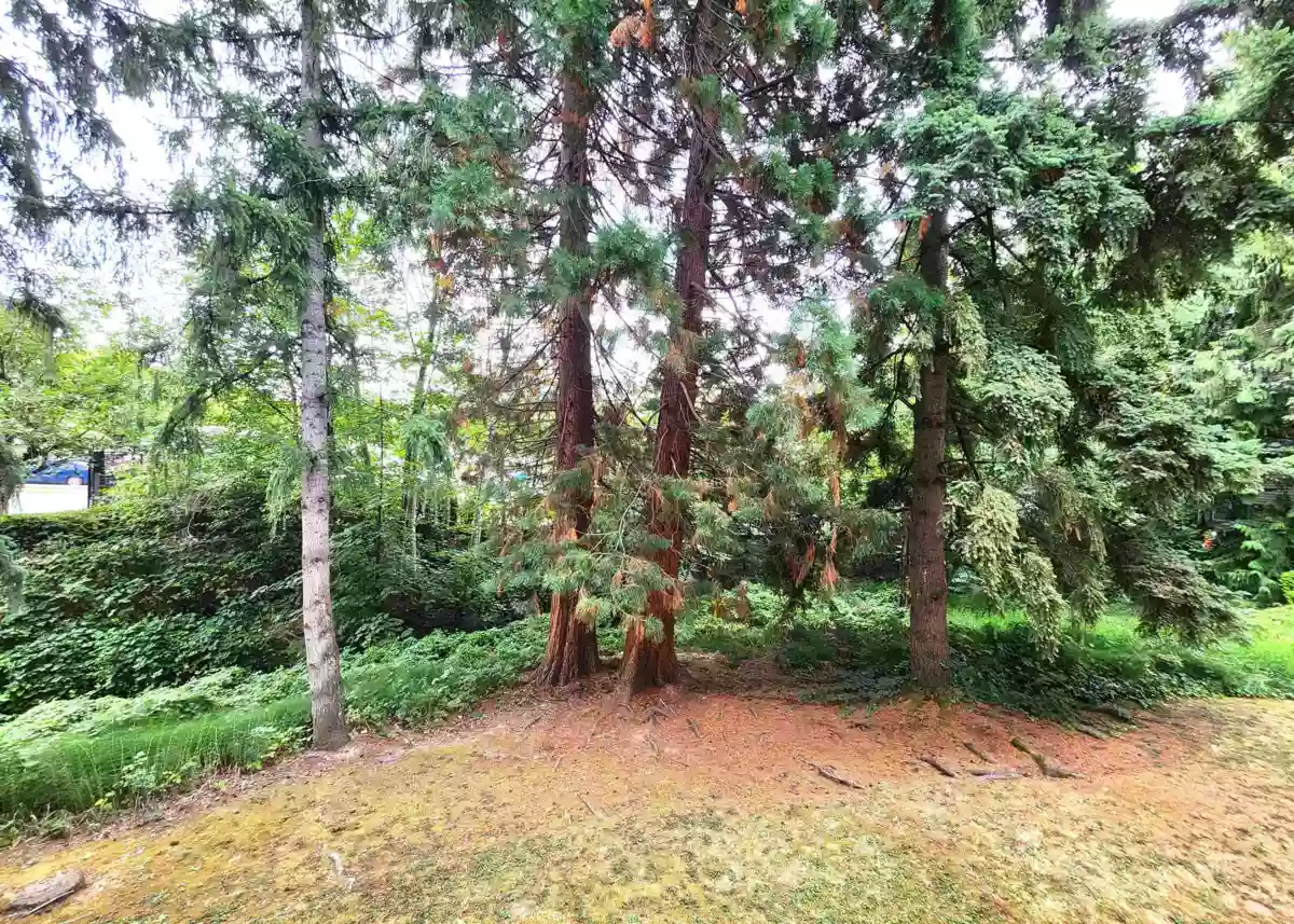 Primary Bedroom Photo of 102 5664 200 Street, Langley, BC