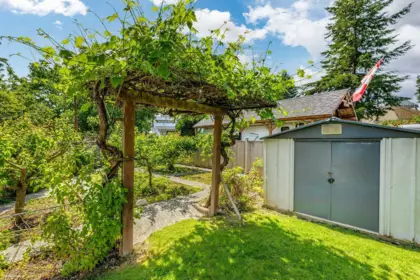 Kitchen Photo of 8646 115a Street, Delta, BC