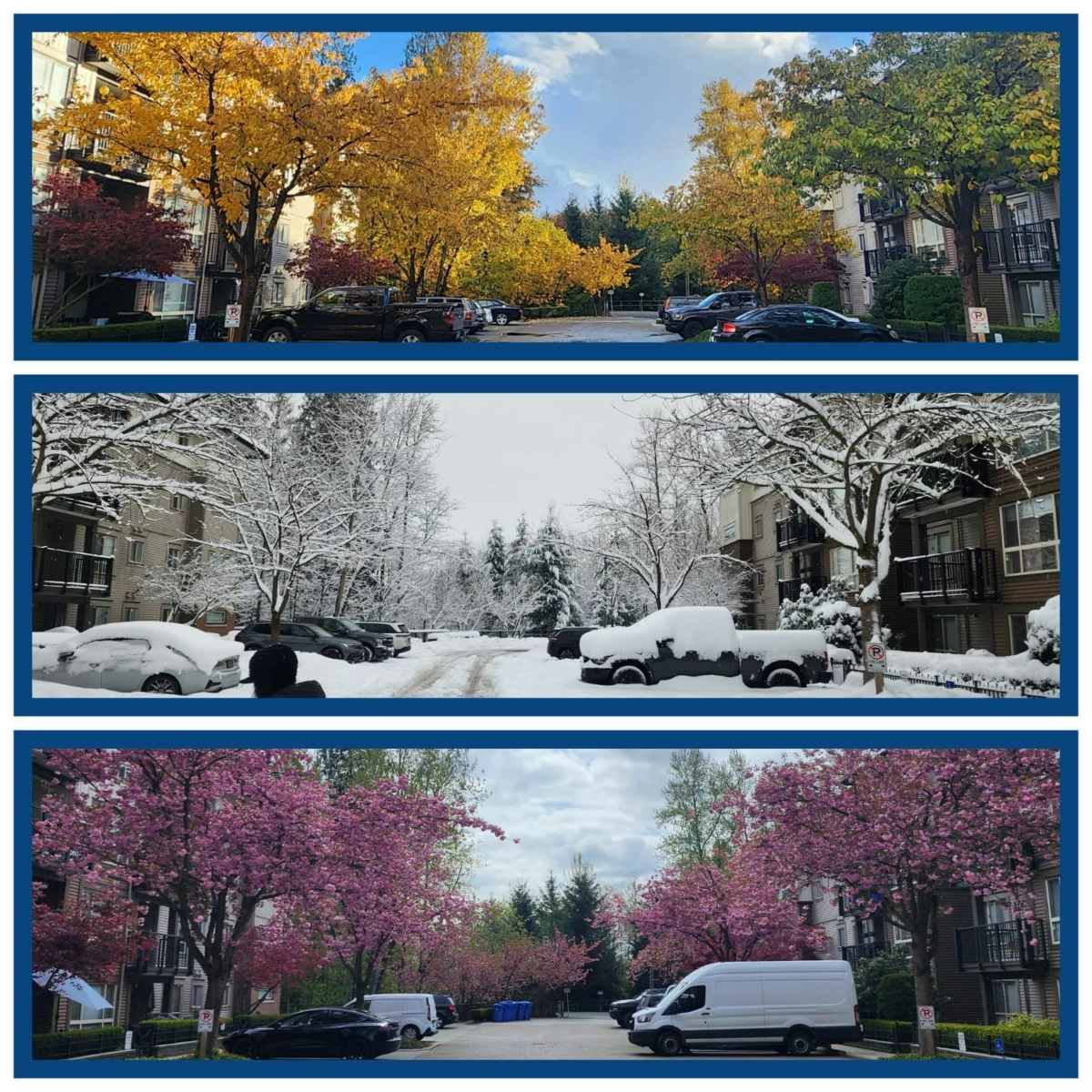 Exterior Front Photo of 101 11665 Haney Bypass, Maple Ridge, BC