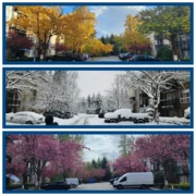 101 11665 Haney Bypass, Maple Ridge, BC