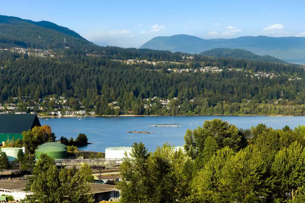 Street View Photo of 221 2002 St. George Street, Port Moody, BC