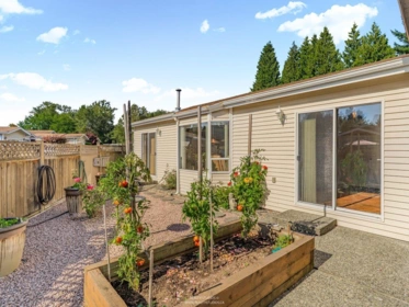Swimming Pool Photo of 59 1400 164 Street, Surrey, BC