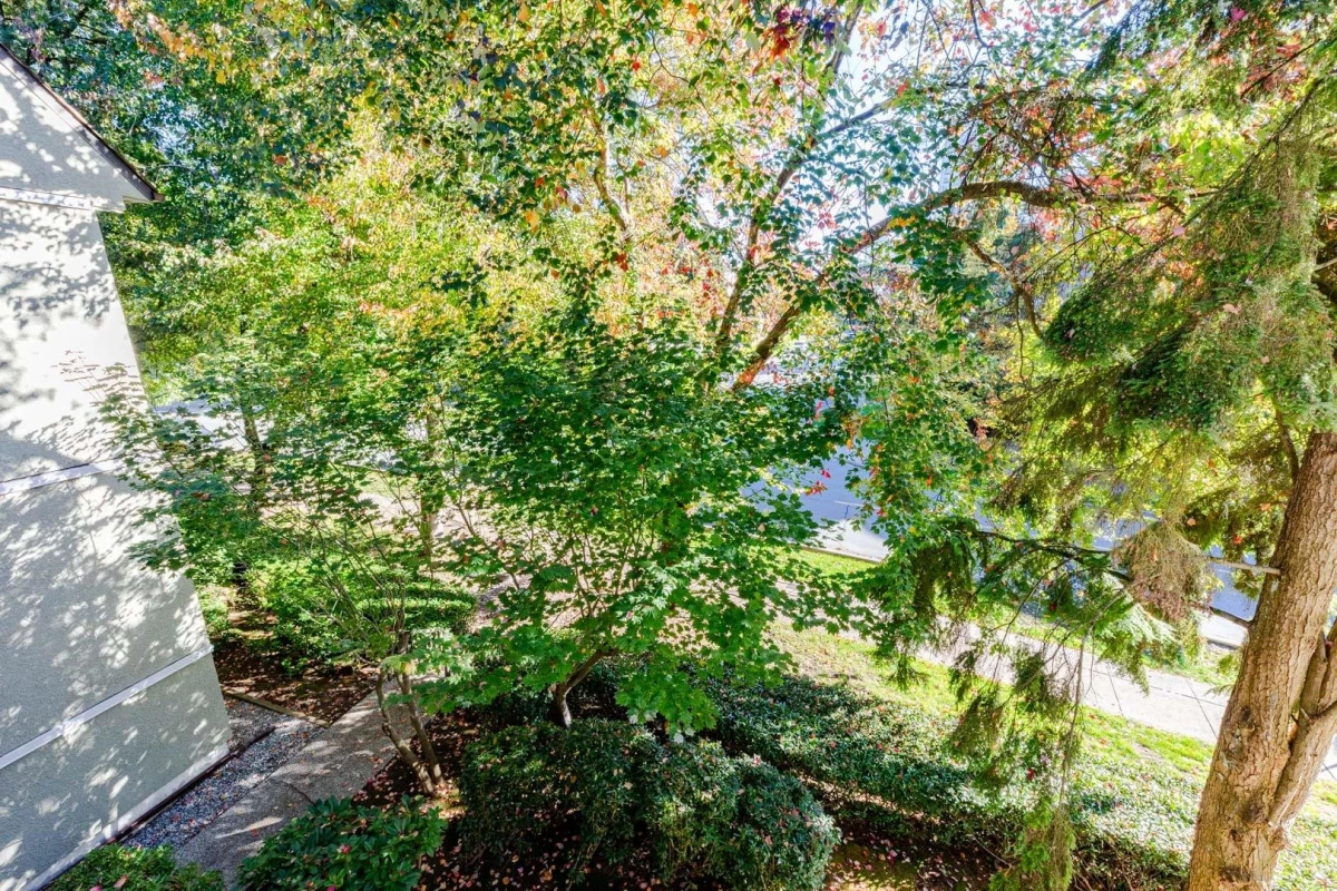 Outdoor Patio Photo of 310 1210 Pacific Street, Coquitlam, BC