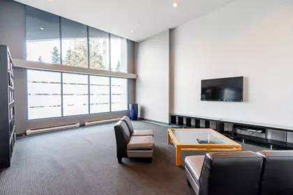 Entry Foyer Photo of 212 1238 Seymour Street, Vancouver, BC