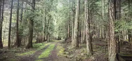 392 Campbell Bay Road, Mayne Island, BC, Mayne Island — Land for sale