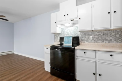 Kitchen Photo of 220 45669 Mcintosh Drive, Chilliwack, BC