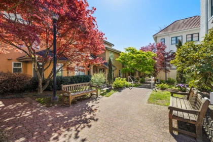 Backyard Photo of 20 3428 Adanac Street, Vancouver, BC