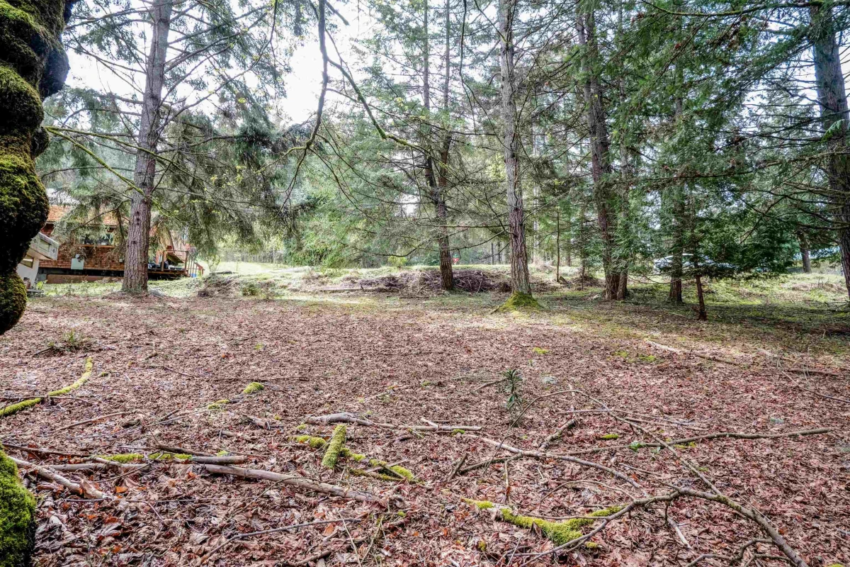 Family Room Photo of 548 Dalton Drive, Mayne Island, BC