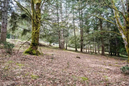 548 Dalton Drive, Mayne Island, BC, Mayne Island — Land for sale