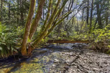 6101 Garden Bay Road, Madeira Park, BC, Madeira Park — Single Family Residence for sale
