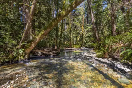 6101 Garden Bay Road, Madeira Park, BC, Madeira Park — Single Family Residence for sale