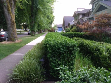 Garden / Landscaping Photo of 761 W 26th Avenue, Vancouver, BC