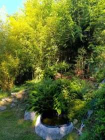 Neighborhood Park Photo Near 4723 Hotel Lake Road, Pender Harbour, BC