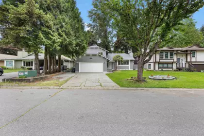 Backyard Photo of 9763 155 Street, Surrey, BC