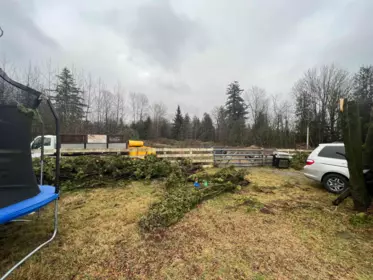 Backyard Photo of 25707 8th Avenue, Langley, BC
