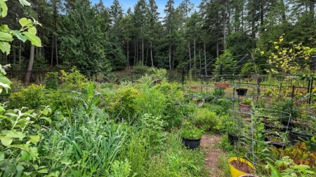 Garden / Landscaping Photo of 604 Waugh Road, Mayne Island, BC
