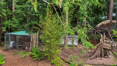 Hot Tub / Spa Photo of 604 Waugh Road, Mayne Island, BC