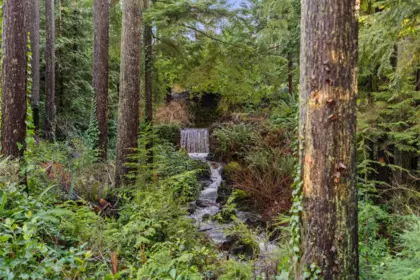 Backyard Photo of 3025 Anmore Creek Way, Anmore, BC