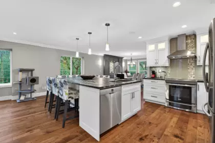 Pantry Photo of 16748 109 Avenue, Surrey, BC