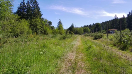 556 E Bluff Road, Galiano Island, BC, Galiano Island — Land for sale