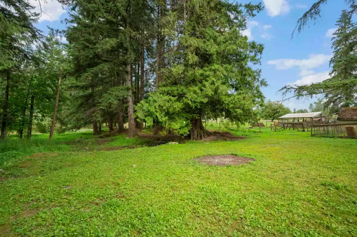 Front Yard Photo of 5871 264 Street, Langley, BC