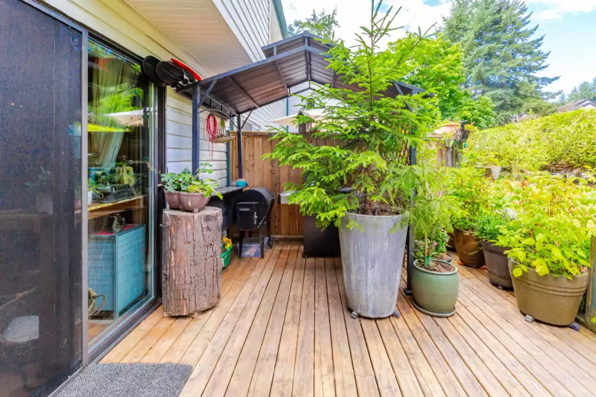 Backyard Photo of 134 13710 67 Avenue, Surrey, BC