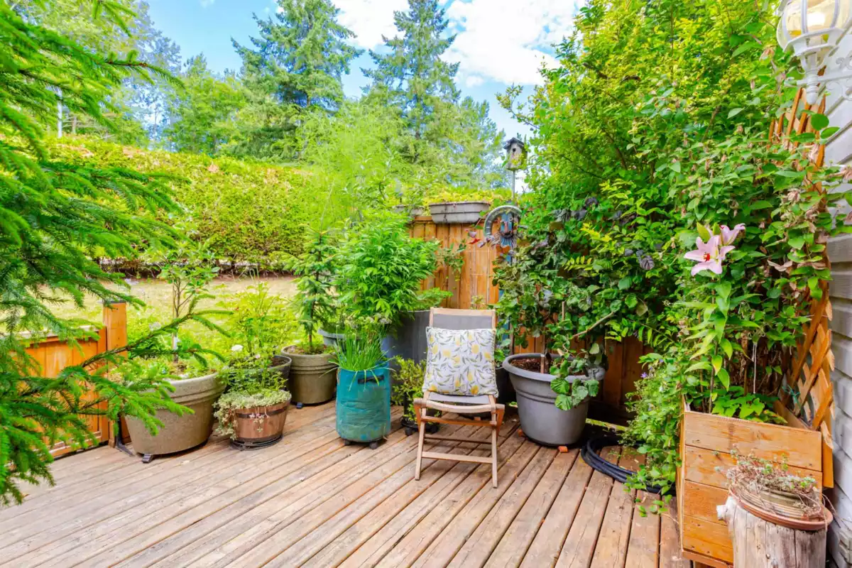 Outdoor Deck Photo of 134 13710 67 Avenue, Surrey, BC