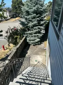 Aerial View of 7592 Fraser Street, Vancouver, BC