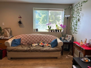 7592 Fraser Street, Vancouver, BC, Vancouver — Single Family Residence for sale
