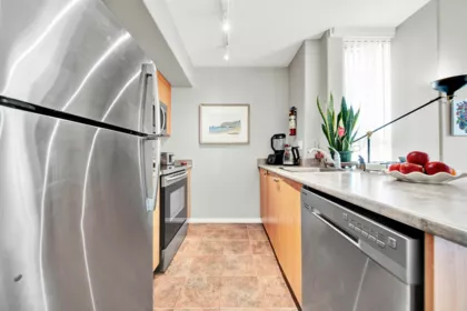 508 910 Beach Avenue, Vancouver, BC, Vancouver — Apartment/Condo for sale