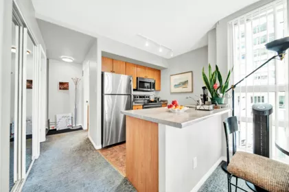 508 910 Beach Avenue, Vancouver, BC, Vancouver — Apartment/Condo for sale