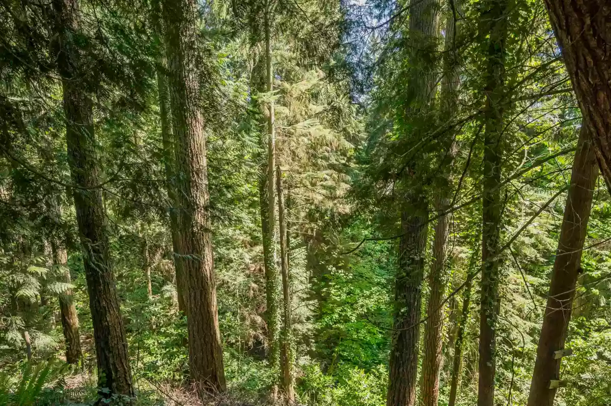 Fitness Center Photo Near 1168 Charland Avenue, Coquitlam, BC