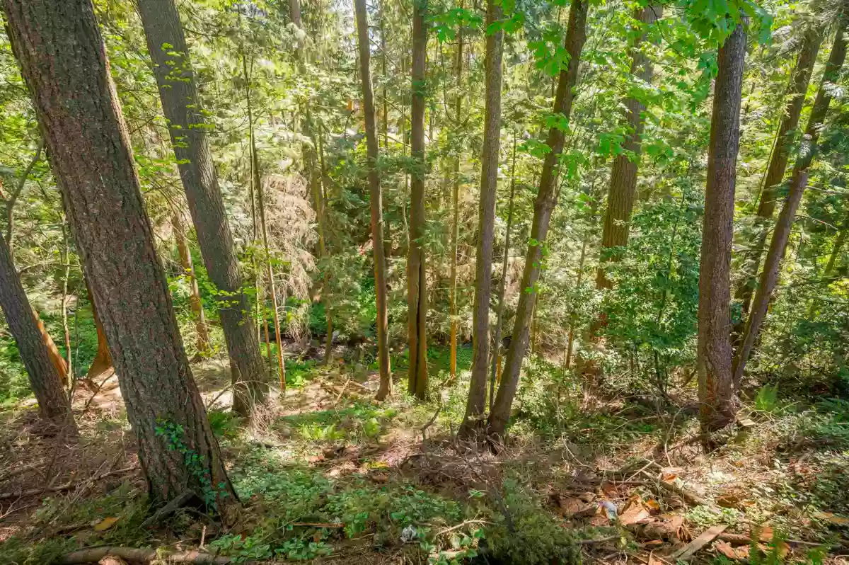 Playground / Recreational Area Near 1168 Charland Avenue, Coquitlam, BC