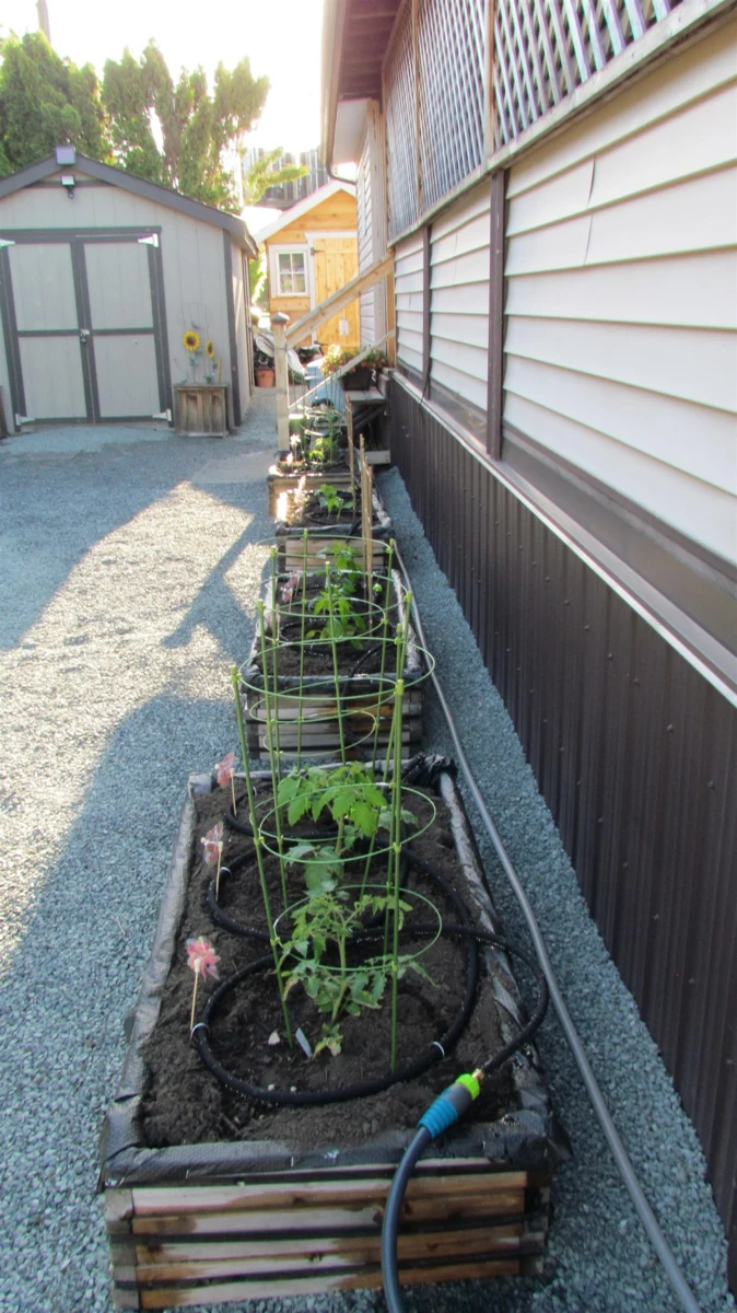 Backyard Photo of 123 6338 Vedder Road, Chilliwack, BC