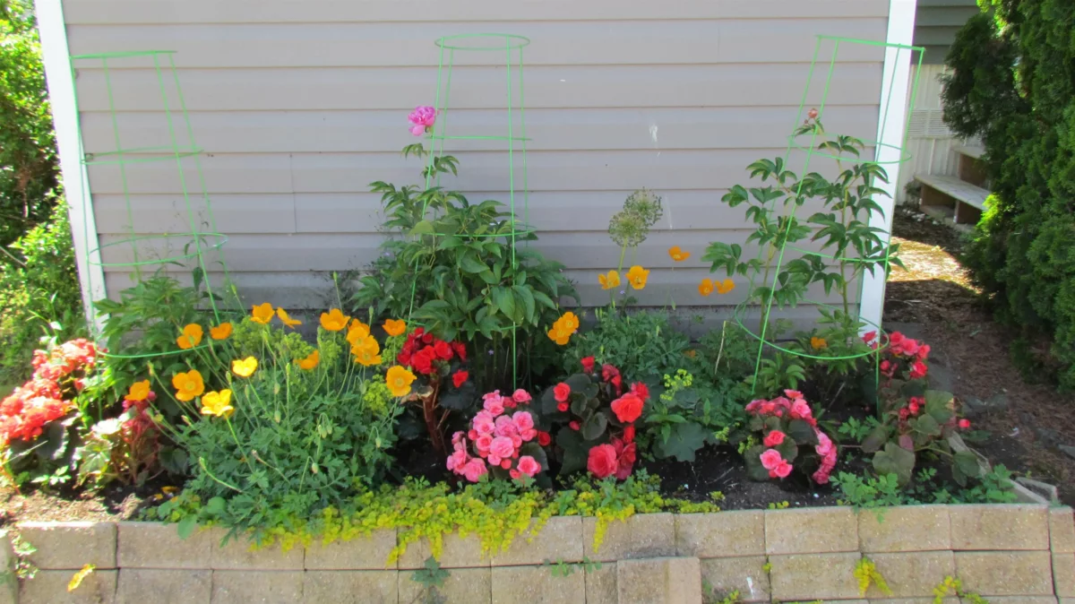 Front Yard Photo of 123 6338 Vedder Road, Chilliwack, BC