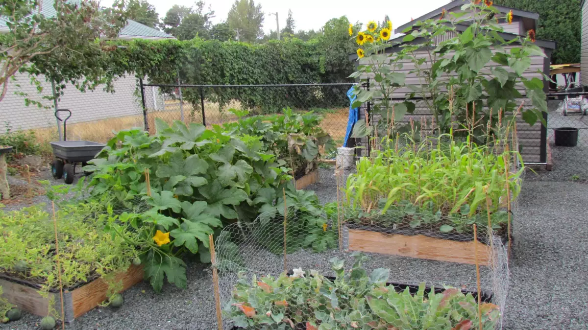 Garden / Landscaping Photo of 123 6338 Vedder Road, Chilliwack, BC