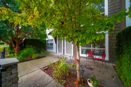 Garage Interior Photo of 123 6671 121 Street, Surrey, BC