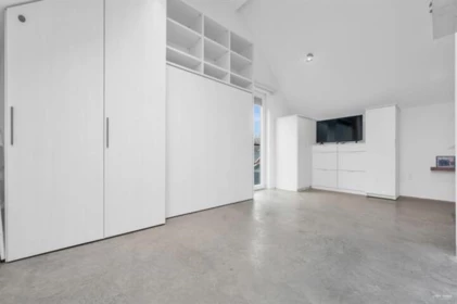 3 829 Keefer Street, Vancouver, BC