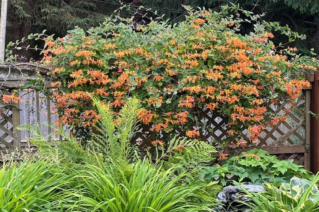 Entry Foyer Photo of 1711 126 Street, Surrey, BC