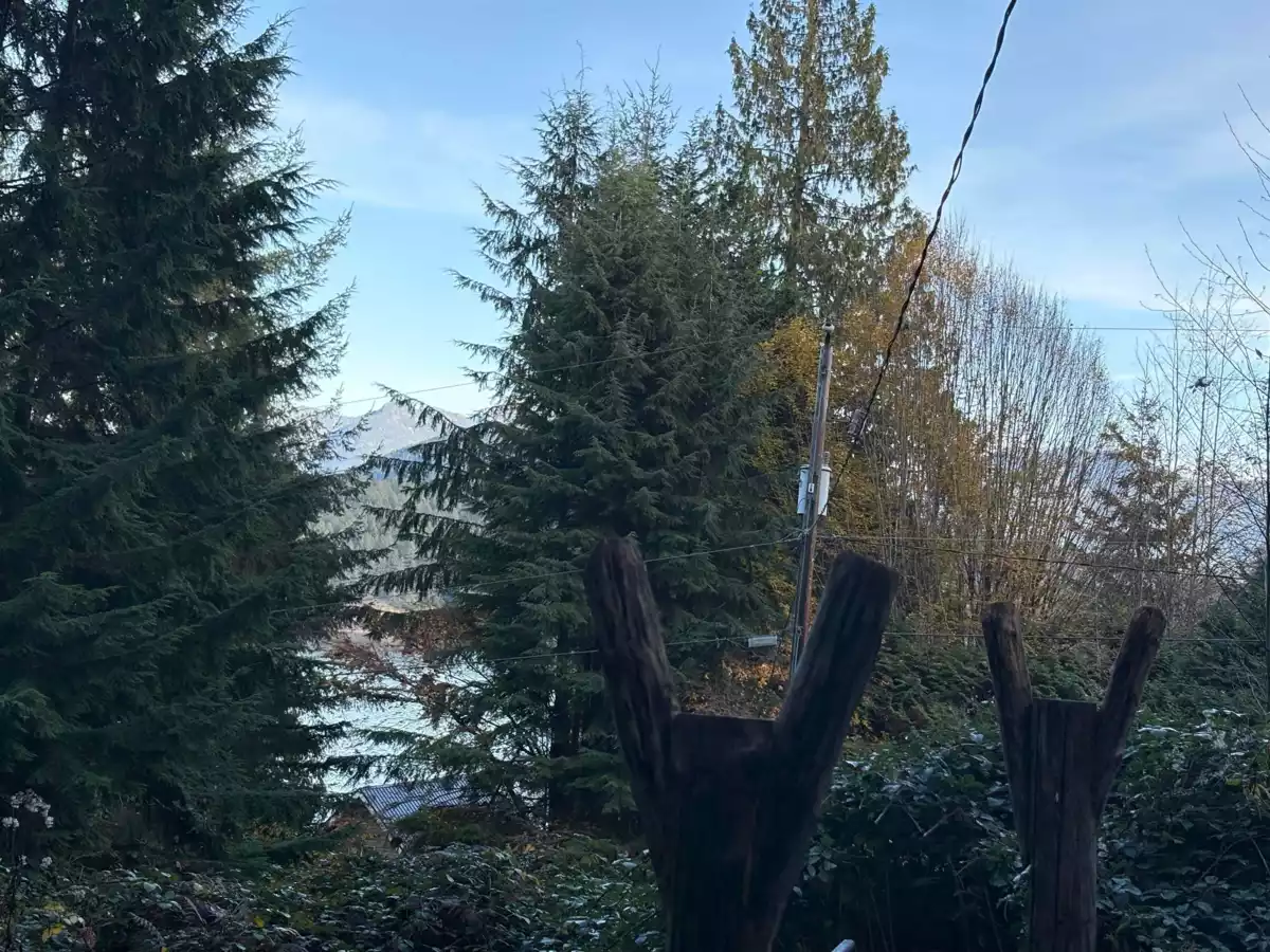 Basement Recreation Room Photo of 815 The Grove Road, Gambier Island, BC