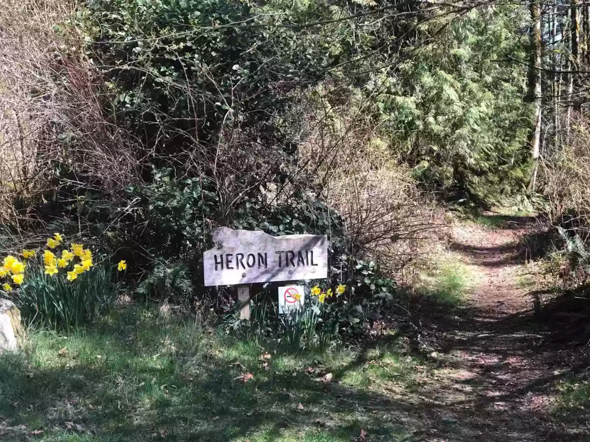 Front Yard Photo of 815 The Grove Road, Gambier Island, BC