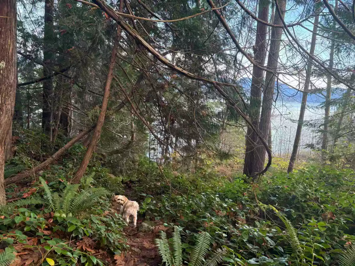 Hot Tub / Spa Photo of 815 The Grove Road, Gambier Island, BC