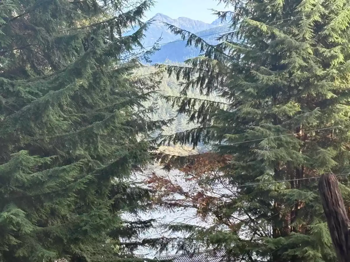 Living Room Photo of 815 The Grove Road, Gambier Island, BC