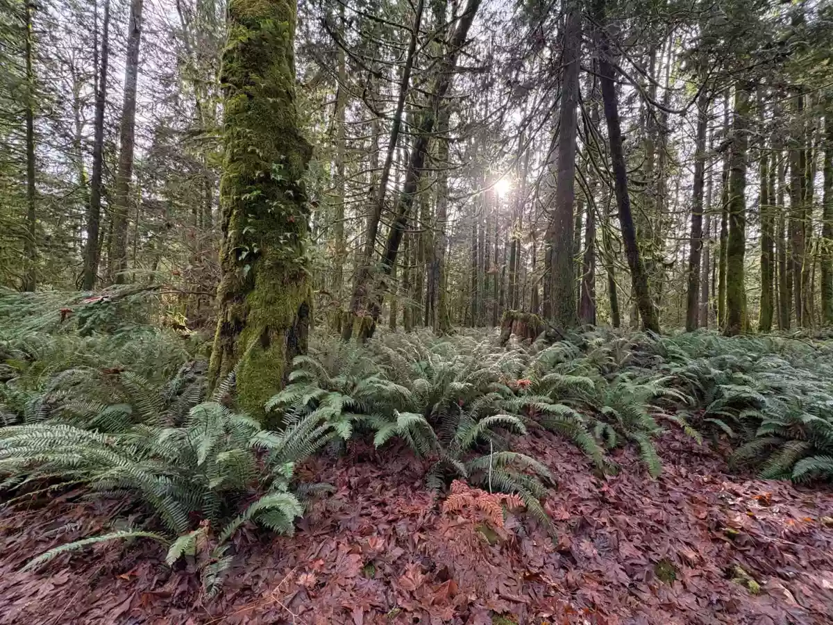 Office / Den Photo of 815 The Grove Road, Gambier Island, BC